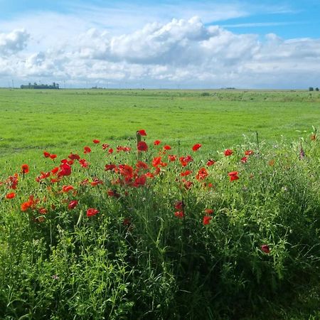 Lyklamastate Nijemirdum Exteriör bild