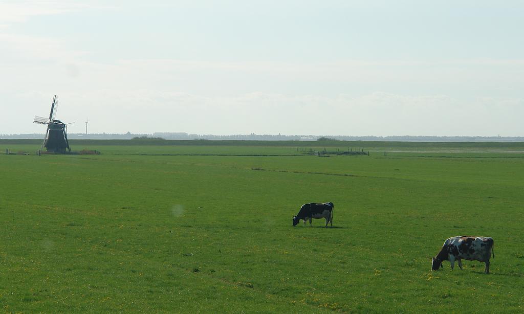 Lyklamastate Nijemirdum Exteriör bild